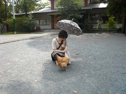 帯祝04.JPG