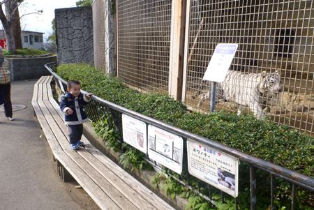 動物園01.JPG