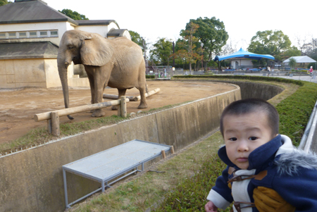 動物園02.JPG