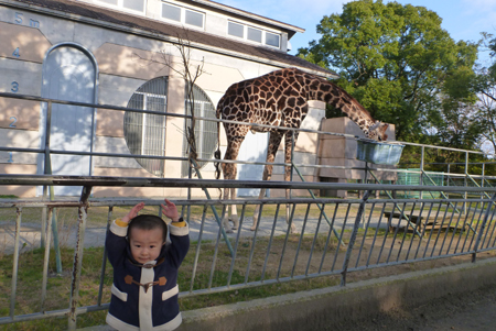 動物園03.JPG