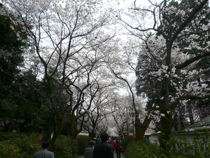 苺05.JPG