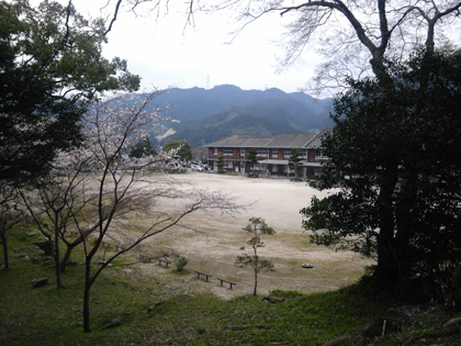 苺06.JPG