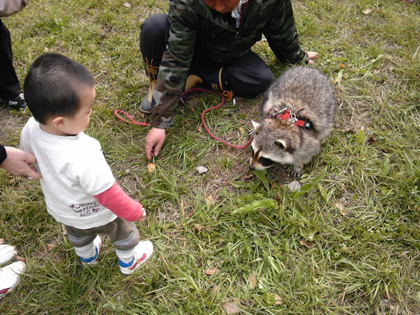 苺07.JPG